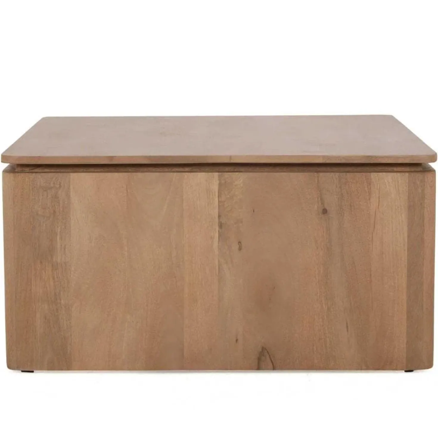Dallas Salontafel vierkant Naturel Mangohout 80cm