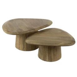 Jean Salontafel set van 2 driehoekig Mangohout
