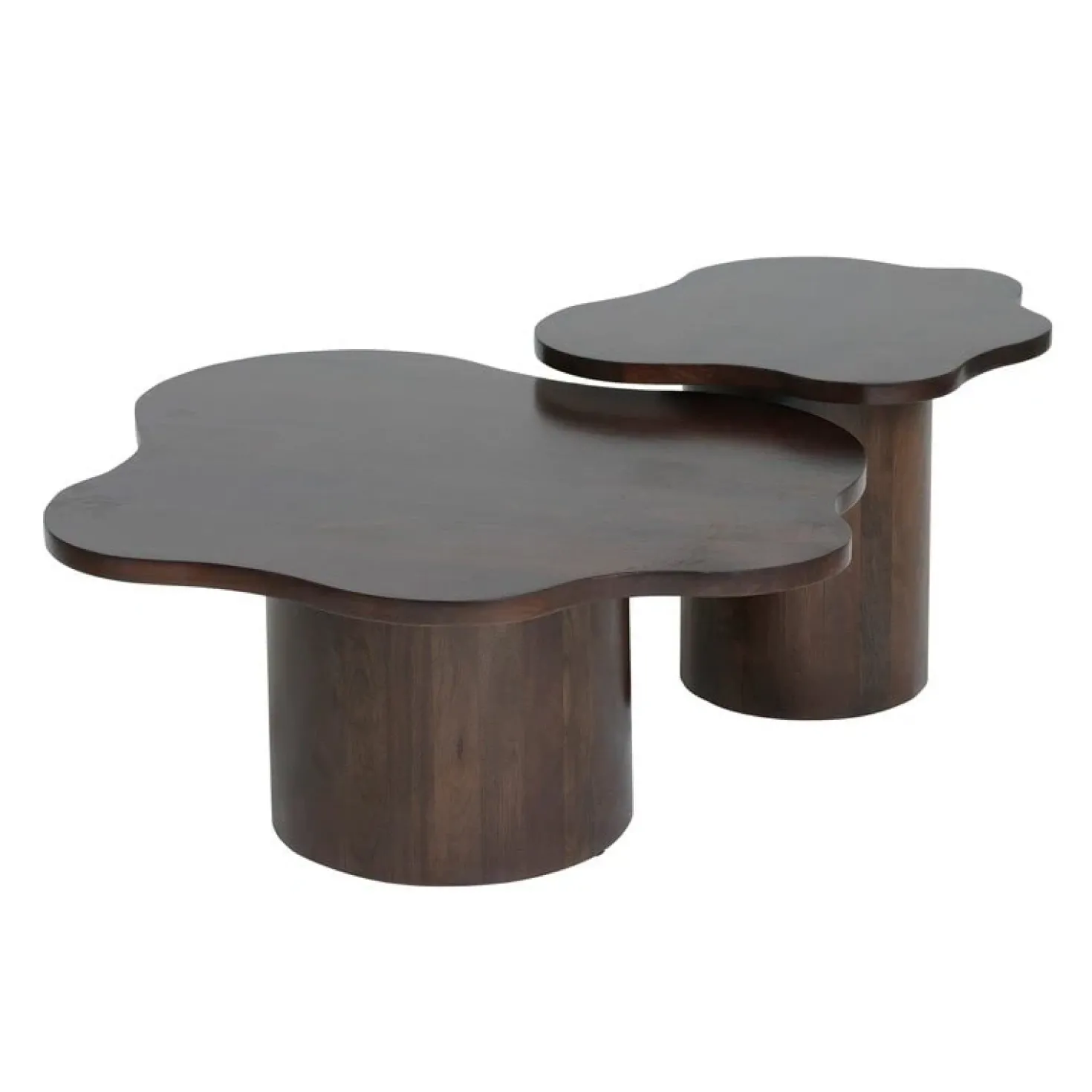 Rosetta Salontafel set van 2 Organisch Walnoot 98cm en 65cm
